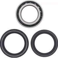 Двойни конусни ъглови лагери MOOSE RACING WHEELBEARING TAPERED DAC 79860